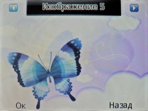 Скриншоты Fly Q200