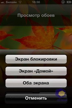 Скриншоты
iPhone 4