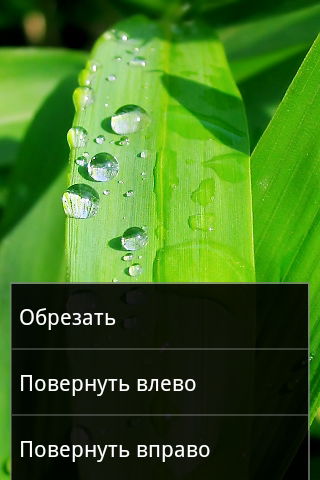 Sony Ericsson Xperia mini pro