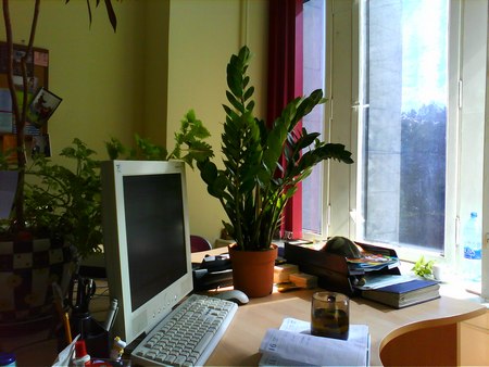  Philips Xenium X503