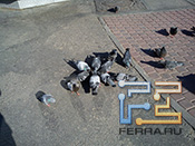 p_X10-mini-PS06