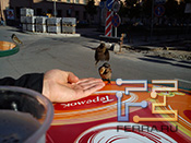 p_X10-mini-PS09