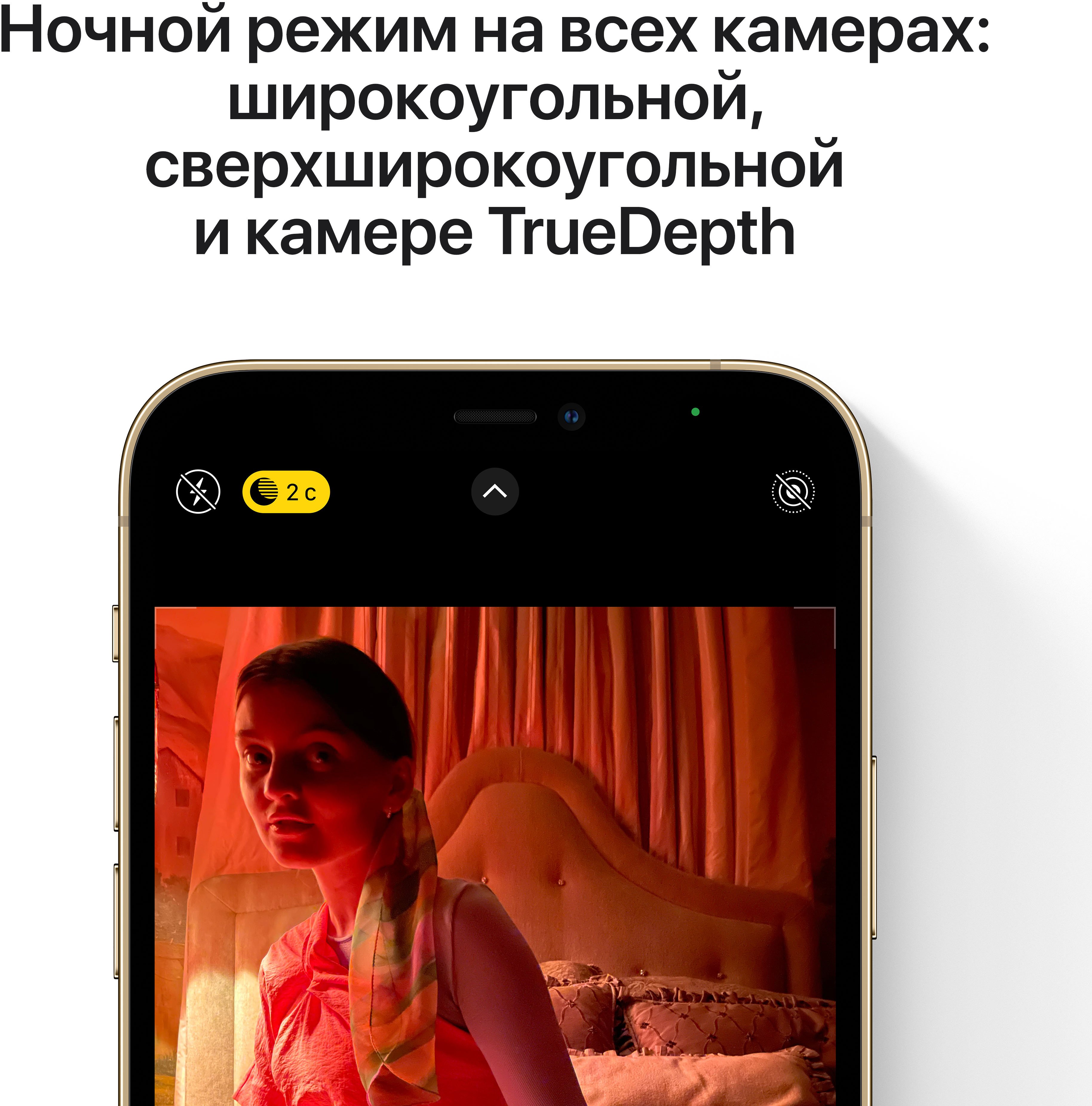 Мобильный телефон Apple iPhone 12 Pro Max (256Gb, gold) RFB, цена, отзывы |  Интернет-магазин MobilMarket.ru