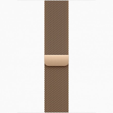 Фото товара Apple Watch Series 10 46 mm Gold Titanium Case with Gold Milanese Loop (GPS + LTE) (размер S/M)