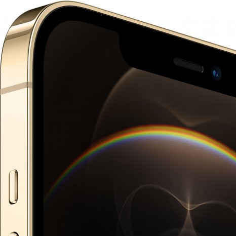 Фото товара Apple iPhone 12 Pro Max (256Gb, gold) MGDE3