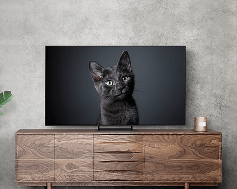 Фото товара QD-OLED Samsung QE77S90CAUXRU