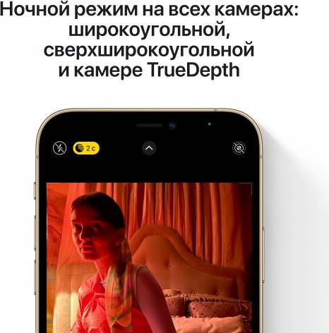 Фото товара Apple iPhone 12 Pro Max (256Gb, gold) RFB