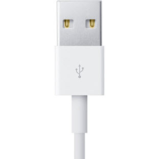 Фото товара Apple Lightning - USB (1м, MD818ZM/A, белый)