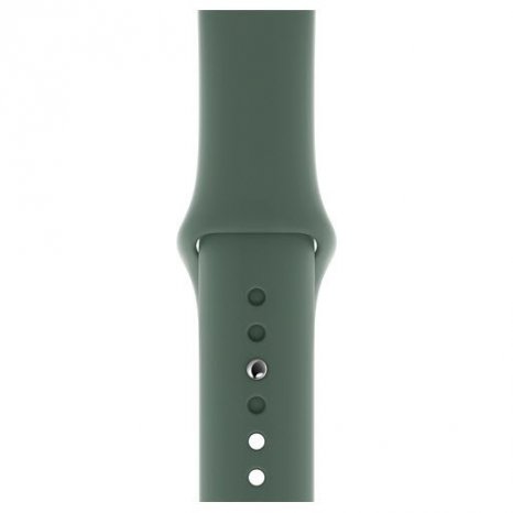 Фото товара Apple Watch Series 5 GPS + Cellular 44mm (Space Black Stainless Steel Case with Pine Green Sport Band)