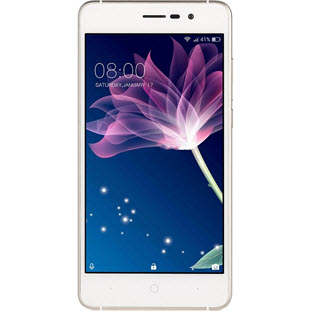 Фото товара Doogee X10 (3G, 0.512/8Gb, gold)