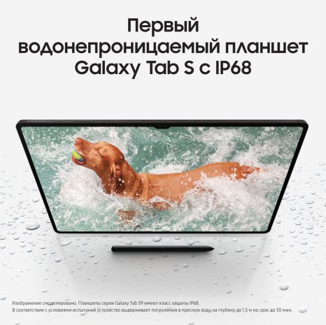 Фото товара Samsung Galaxy Tab S9 Ultra Wi-Fi 512Gb (Графит) Ru
