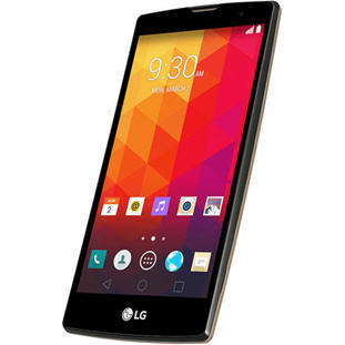 Фото товара LG Magna H502F (black gold)