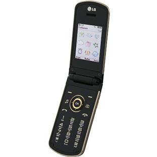 Фото товара LG GD350 (black gold)