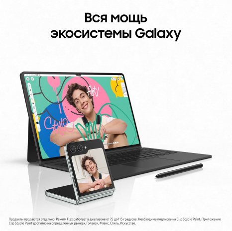 Фото товара Samsung Galaxy Tab S9 Ultra Wi-Fi 512Gb (Графит)