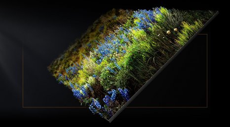 Фото товара Samsung Micro LED 110MS 4K Ultra HD