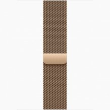 Фото товара Apple Watch Series 10 46 mm Gold Titanium Case with Gold Milanese Loop (GPS + LTE) (размер S/M)