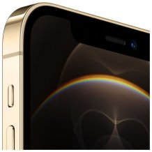 Фото товара Apple iPhone 12 Pro (256Gb, gold) MGMR3RU/A