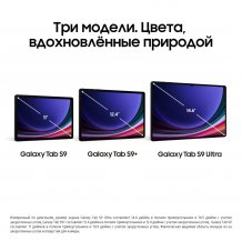Фото товара Samsung Galaxy Tab S9+ Wi-Fi 512Gb (Графит) Ru