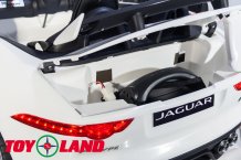 Фото товара ToyLand Jaguar F-tyre Белый (Лицензия)