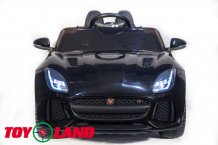 Фото товара ToyLand Jaguar F-tyre Чёрный (Лицензия)