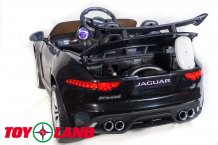 Фото товара ToyLand Jaguar F-tyre Чёрный (Лицензия)
