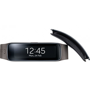 Фото товара Samsung для Gear Fit (ET-SR350BSEGRU, dark gray)