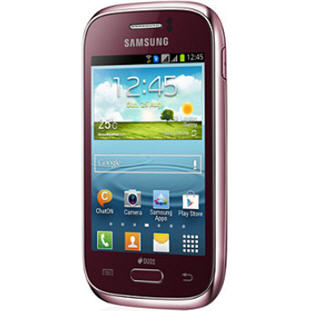 Фото товара Samsung S6312 Galaxy Y Duos (wine red)