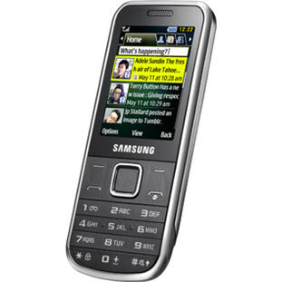 Мобильный телефон Samsung C3530 (chrome silver)