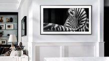 Фото товара Samsung QE43LS03RAUXRU