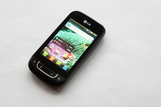 LG Optimus Link Dual Sim P698