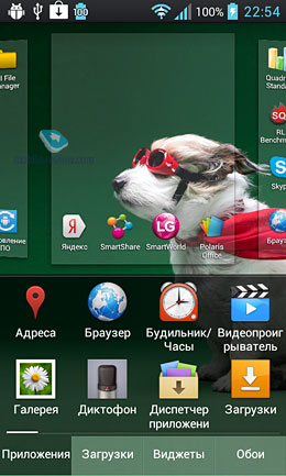 LG Optimus L7 (P705). Обзор