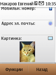 Nokia C3-01.5 Gold Edition