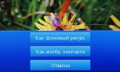 Sony Ericsson Txt pro