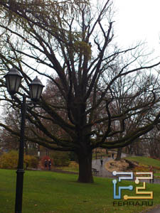 Пример фотографии, сделанной камерой смартфона Sony Ericsson Xperia Arc S