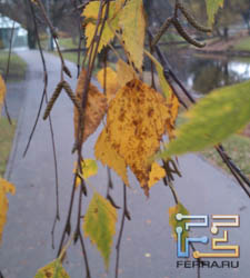 Фото c Sony Ericsson Xperia mini