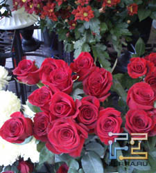 Фото c Sony Ericsson Xperia mini